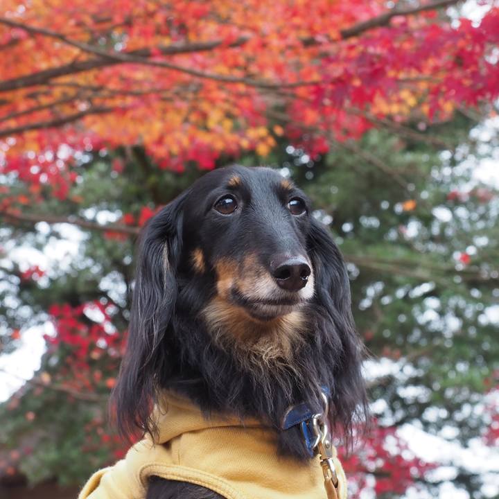 A62eb195 a018 402d 8013 53e714c26c63 1669611187068