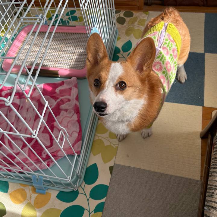 A62ecc5d 47ae 4c51 adda 191589a0ec8a 1769744292652