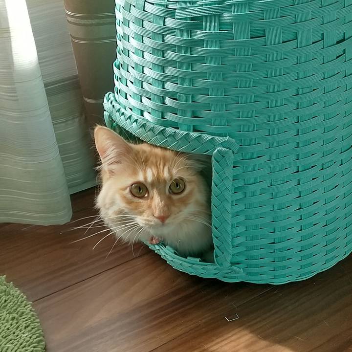 A62ed09a 09ab 4dd1 addc 47b8670f28f5 1643368170025