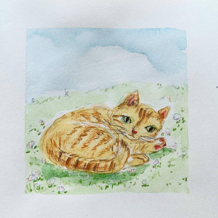 A62ee461 92d4 4b5d b856 ca75fd98bf1f 1679890754954