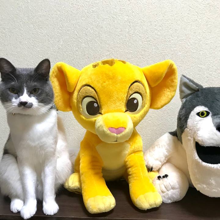 A62effbc fd6a 4736 861e c5e9f0d692ff 1625054875417