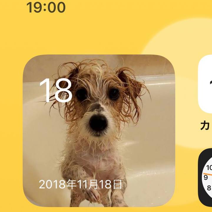 A62f679a 2c97 4a6f 8ac2 bccc20c7742c 1637229818835