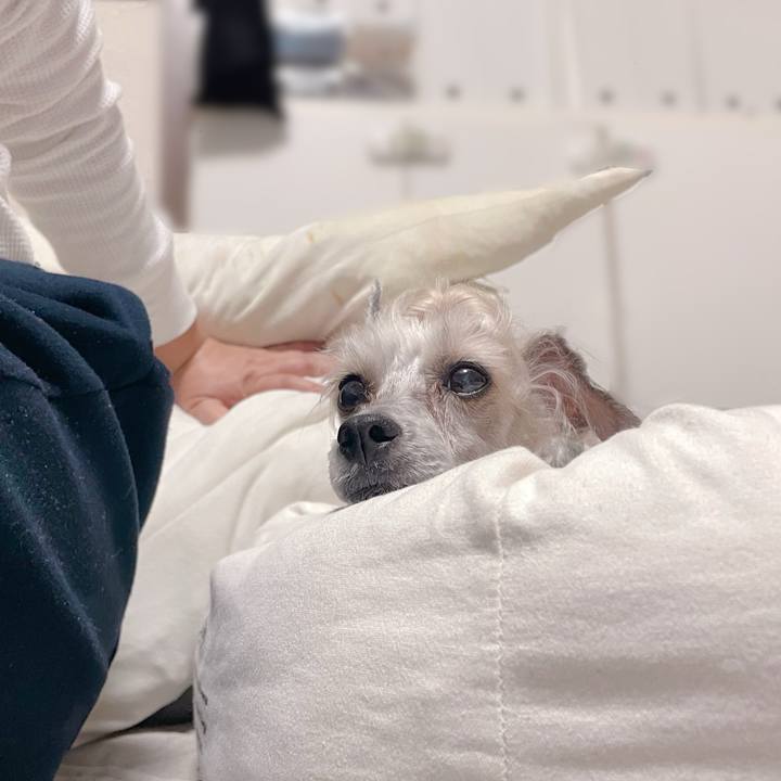 A62f8997 620e 44d1 accd 0e430e3cb90f 1764661811198