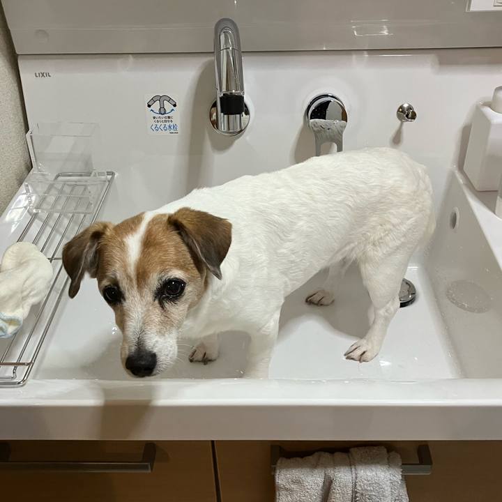 A62ff2d5 1218 4107 8b36 75335a9dcfc2 1713360378233