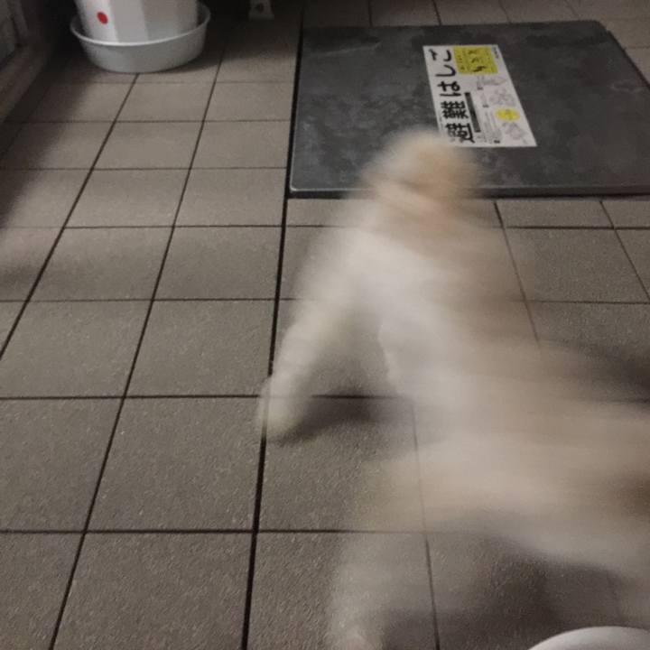 A63025bf bb88 482c a673 2d1655748d24 1530706260650