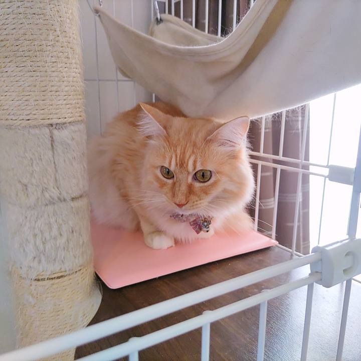 A63046ac 6b2d 4665 9b98 dc0d68fe353e 1669363493872