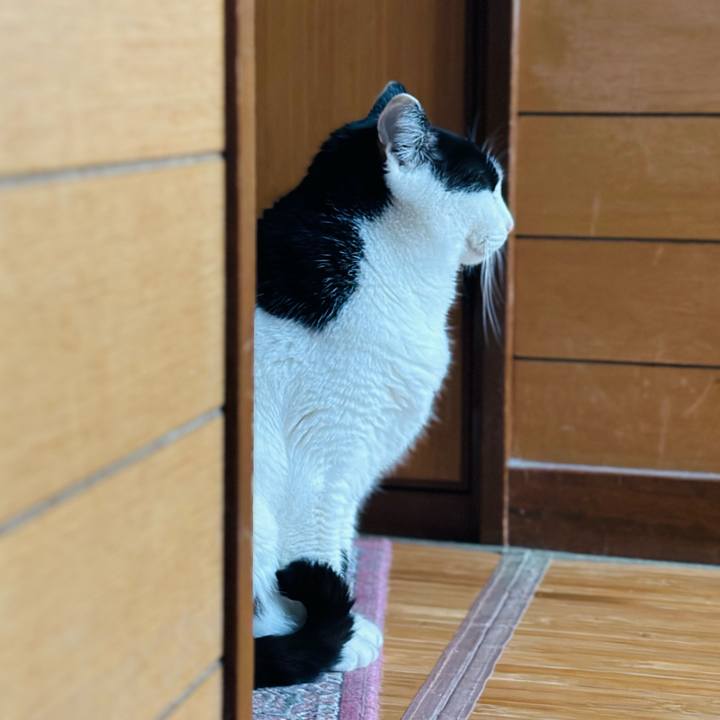 A63061ee 5d0a 4a76 855b 1dc2b5ece2a5 1707617106839