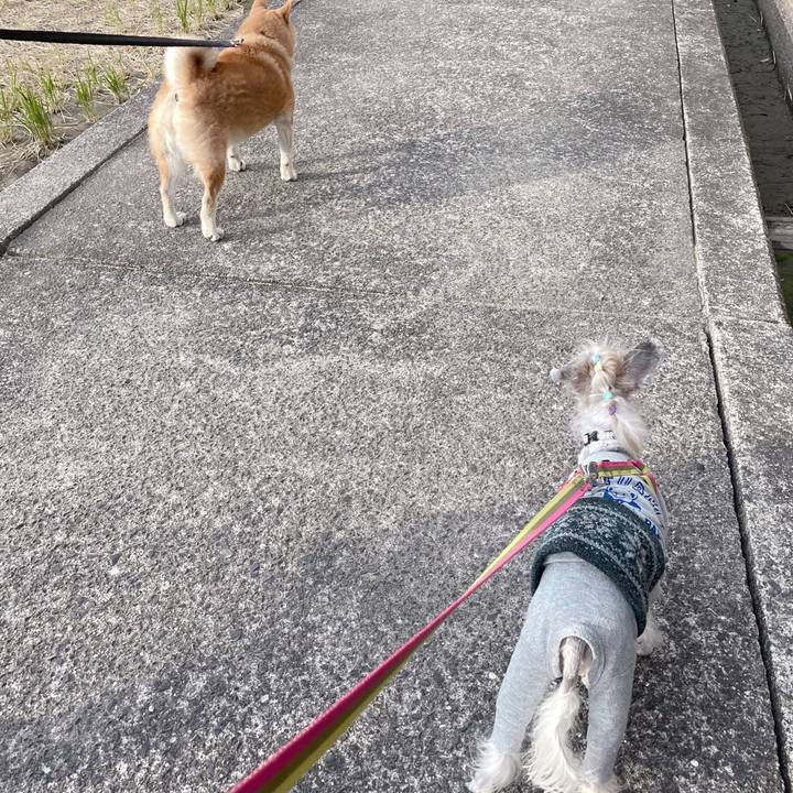 A630642b 89cb 40ba a432 8cc3aa67fc26 1762240750215