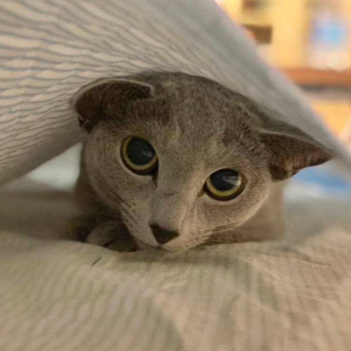 A6309436 c989 429f a200 00f3f37f47f1 1627362917822