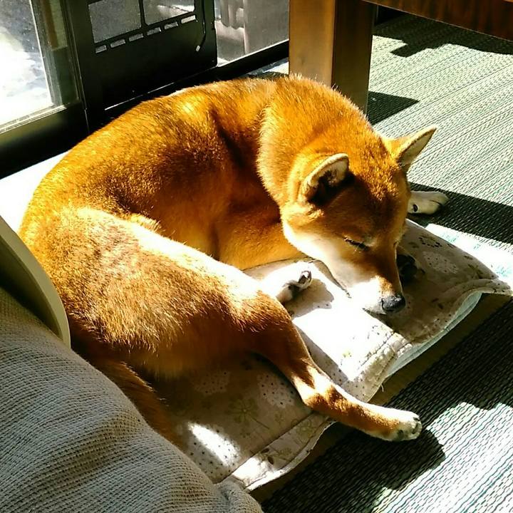 A630e445 2eeb 4824 bb13 cb79464e22e5 1571794080449