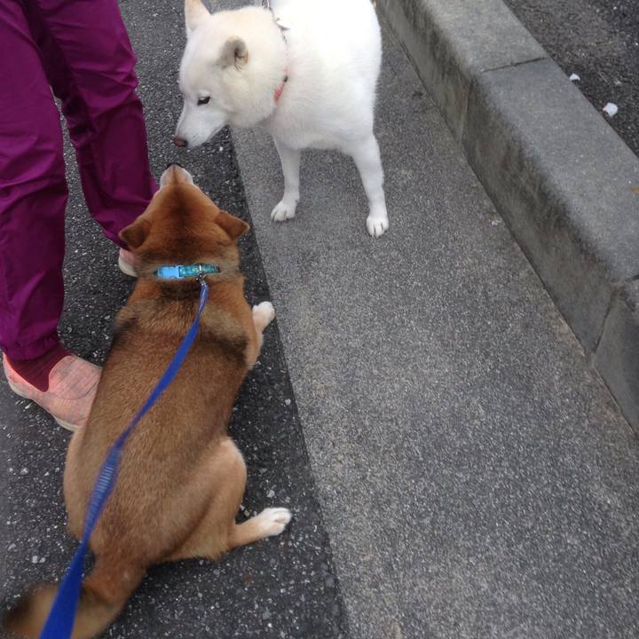 A630f50a d839 430a 9eee 4126db2b5d5e 1544677697068