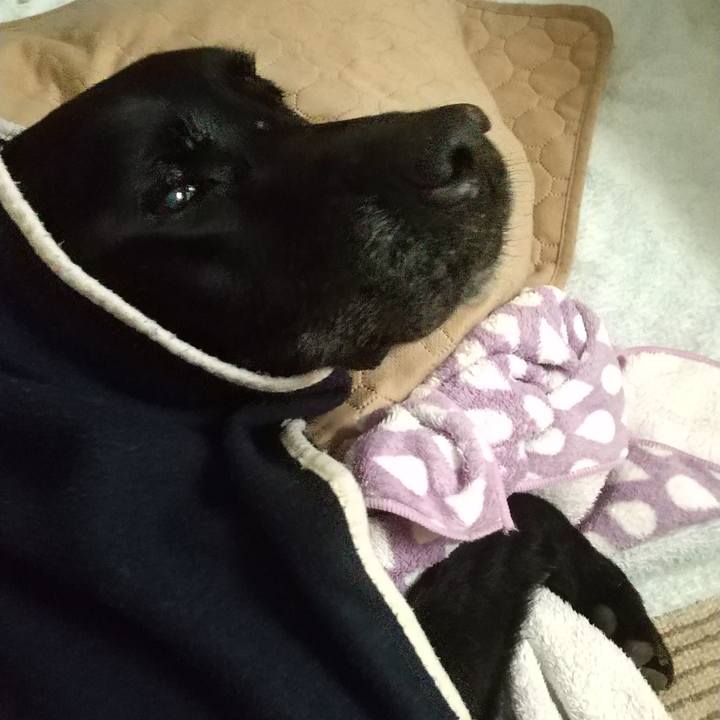 A630fd1b fd11 4334 8087 3605fb161e3c 1715218101709