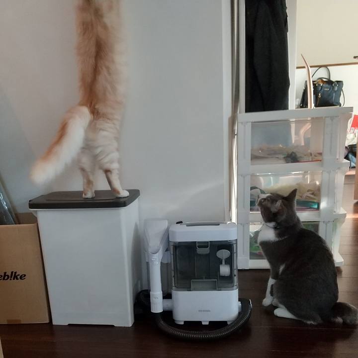 A631151b 00ea 4793 a39e a13391ca0371 1617842466024