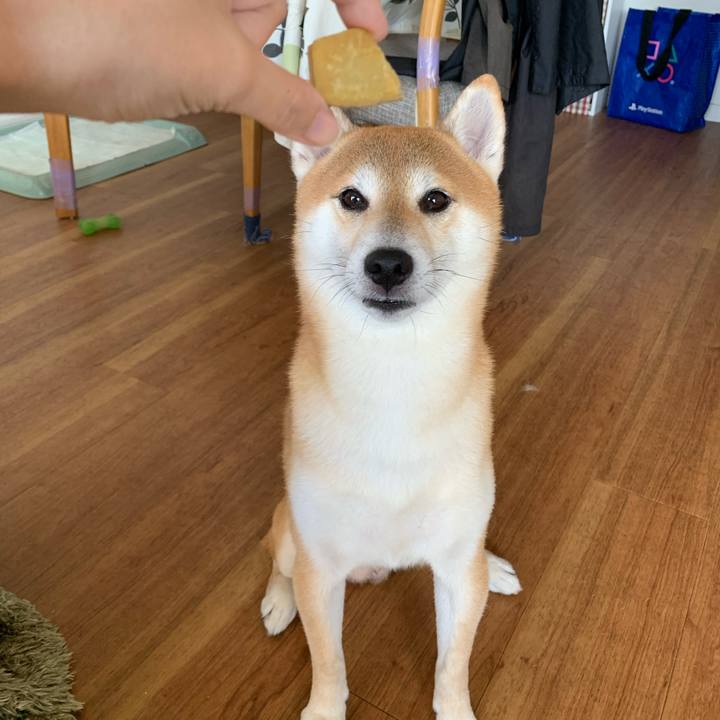 A631305a 05f6 4c21 839e 8d1408437e46 1571402678716