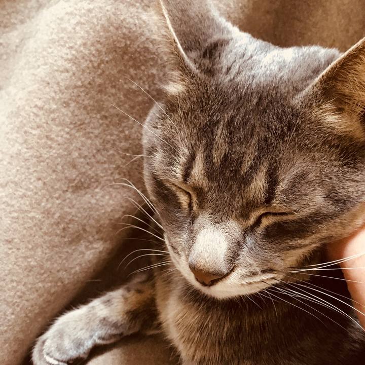 A6315df1 48a8 494d ba0c 8c43d8a60610 1521731678376