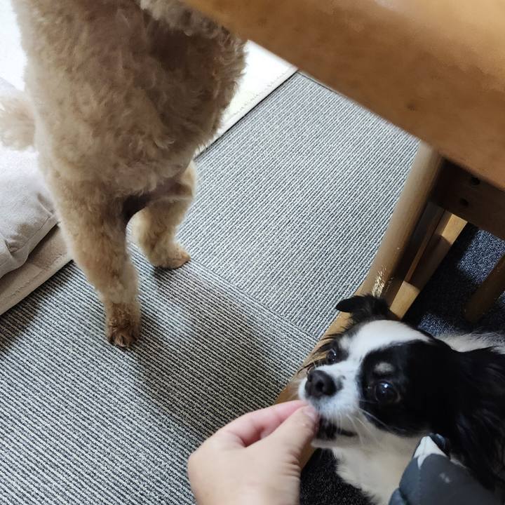 A63174d9 fda0 4f94 9f51 711b41c308da 1763508227006