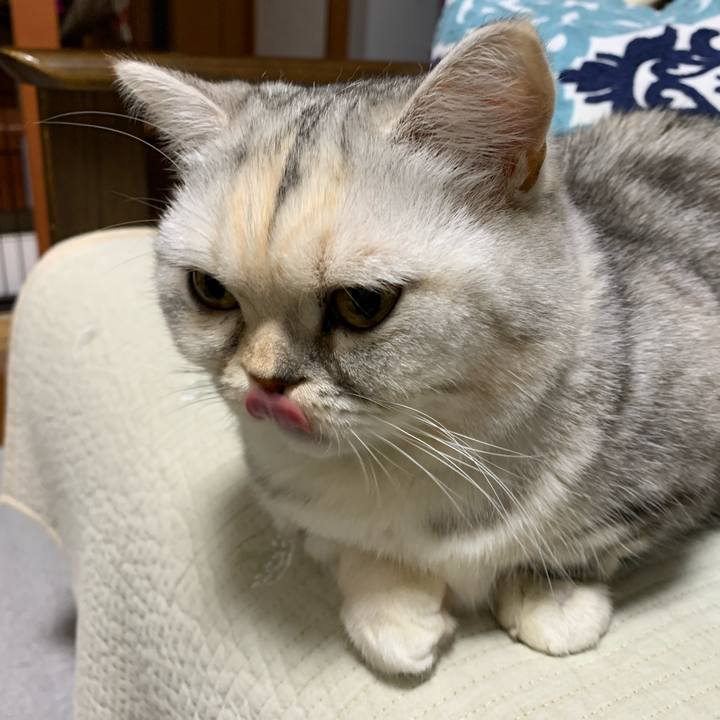 A6317f2f 673a 4a13 ae1a 94231da5336d 1710681734625