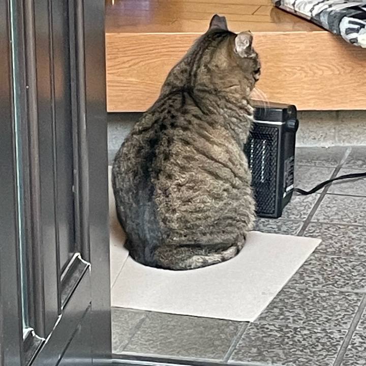 A63191b9 a231 4deb ab23 a28e98ef7627 1640332621930