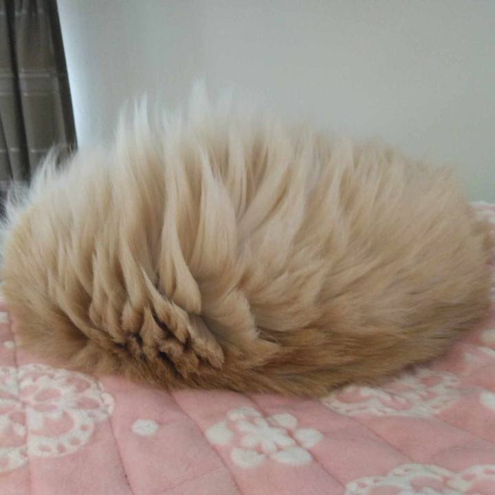 A631f232 2cbc 4534 a603 cb443229c077 1712191625508