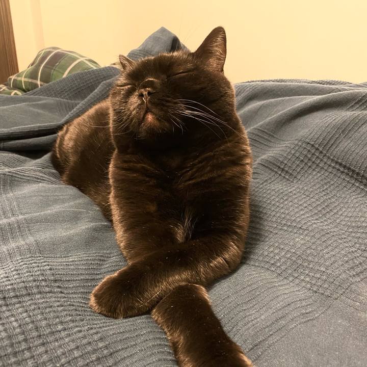 A63230fc 025f 4928 b585 e408982da250 1605266491571