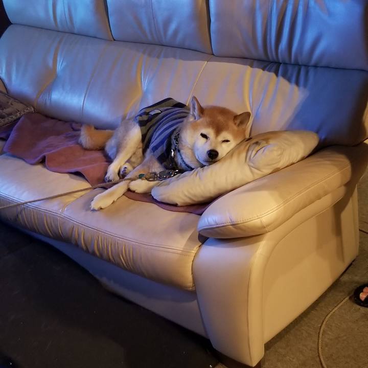 A6323db4 81e2 4528 bb03 25d7b255be0f 1702379510797