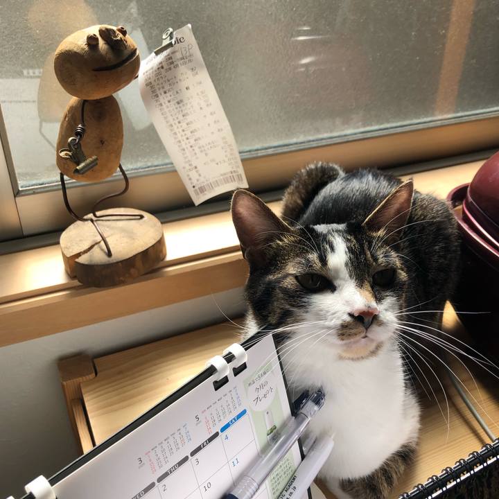 A6323efc a51d 4ac7 a1c0 4374c4490ec1 1588573440974