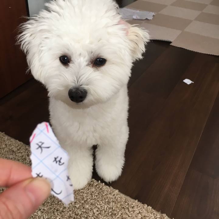 A63251b0 20c3 4691 a7e4 6bf8f64f82ca 1511741221106