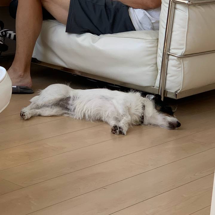 A6325589 fc3f 40f0 9268 836d069ce78e 1656209730870