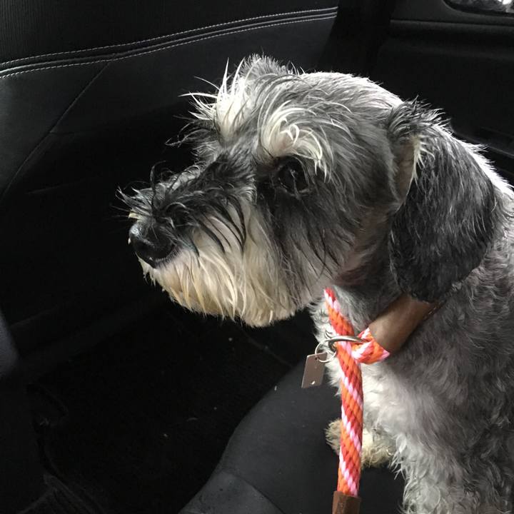 A6327a63 5b78 4d0d 9916 67f10ed9a67d 1508640756894