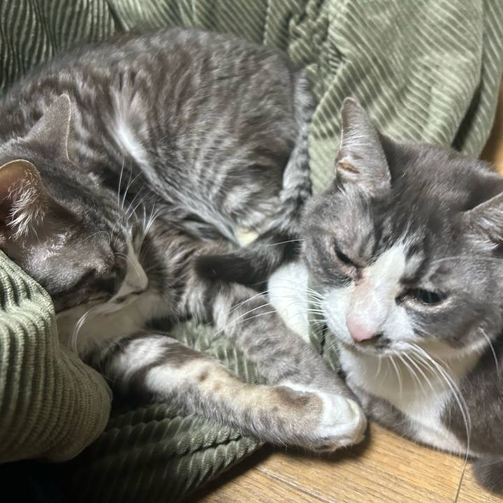 A6329bea c536 49e5 b185 b69b5df7c545 1765030232531