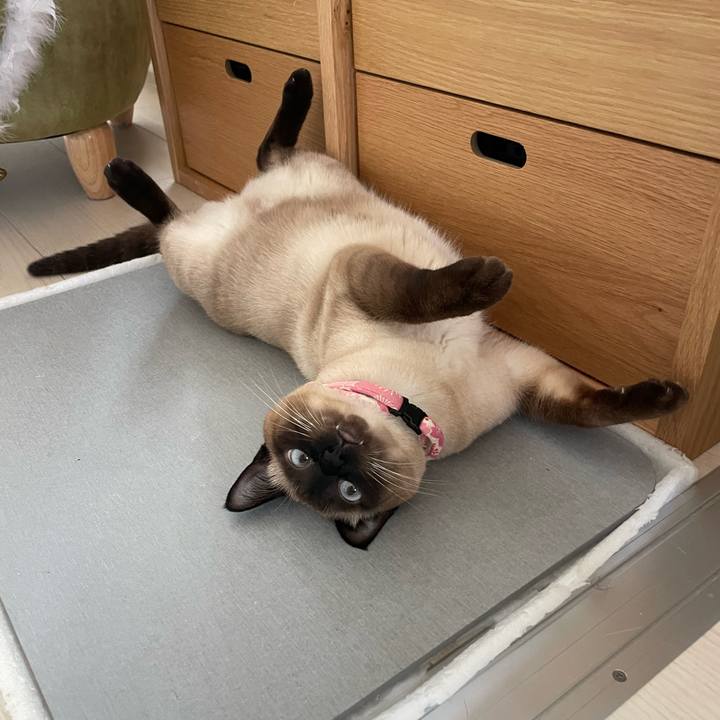 A632a2ee 5f3f 4d86 9586 3bd1b79c3fb0 1718426110232