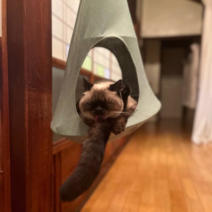 A632aa6b c6fe 4c94 a413 a9fa1554e205 1633821771716