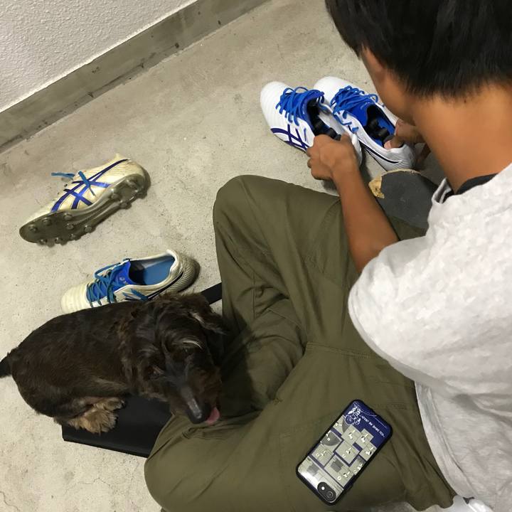 A632c4bc f6a9 4c29 bcb0 7ec4b58e3207 1537363257221