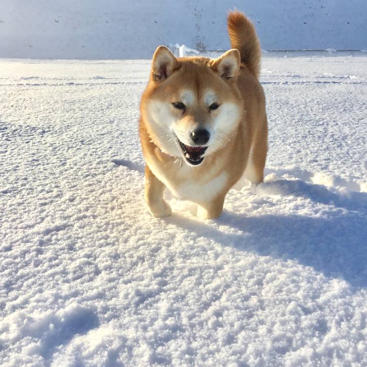 A632c55b f8e3 432b b483 b26e31eba97e 1517318000103