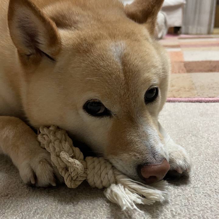 A632fbf5 76e7 448d 850c d3d1ad4025a3 1681271883314