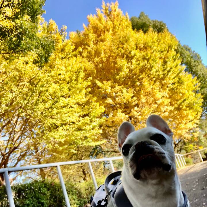 A63312f6 5a6f 47cc 8142 0632f0e86bc9 1668828156752