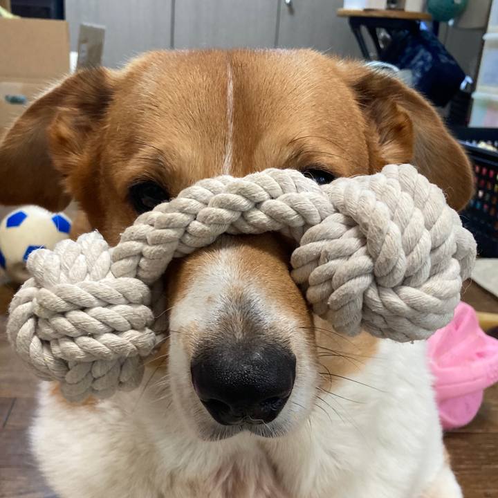 A6333d13 76c1 4e6b b0c2 3f35c0574cd7 1732154851455