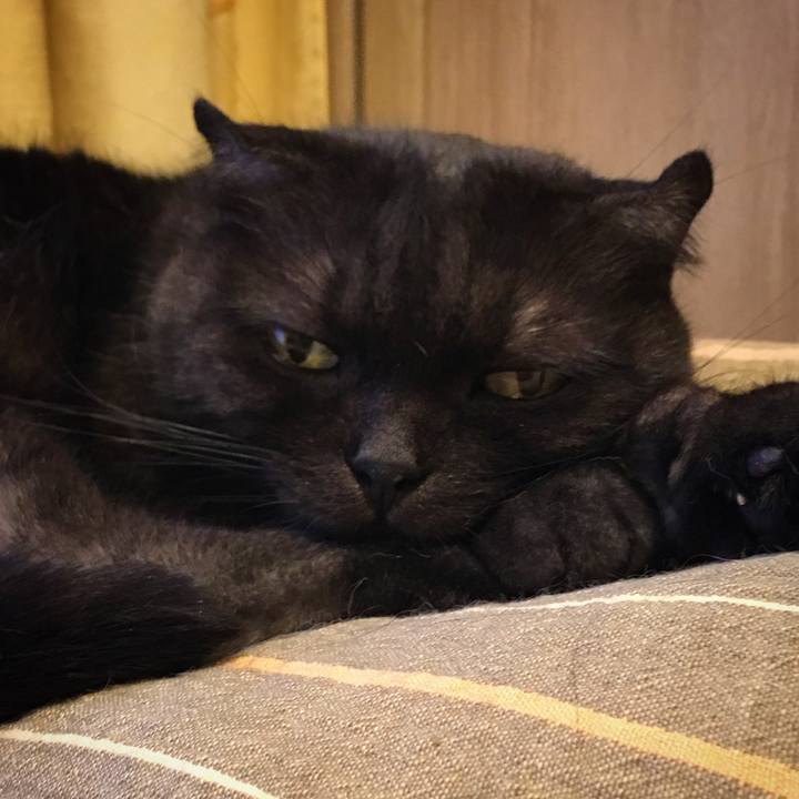 A6335cbc e4b3 40c1 8064 2ba36e531b60 1532766269366