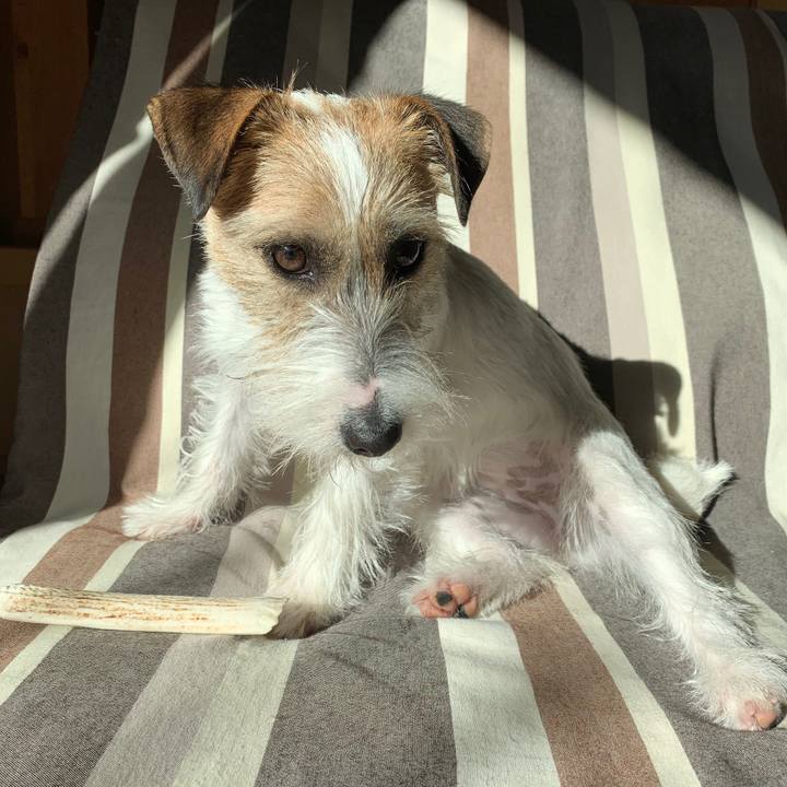 A6337080 e73f 4f44 a532 93ec0322a1a4 1580949287518