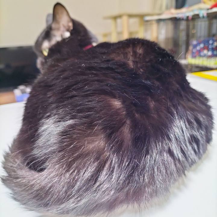 A633ec5a e10d 4ef9 b70c 8e8e03b851cf 1694598959321