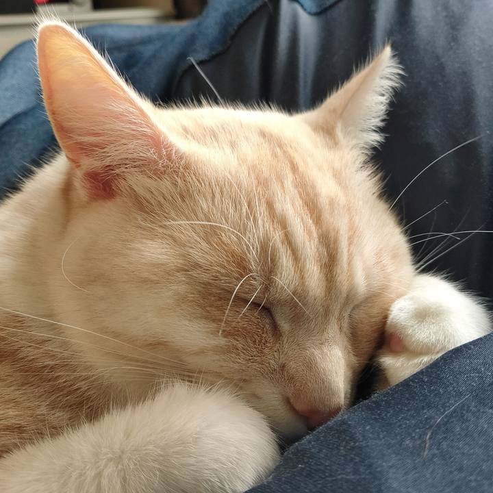 A63481c0 0148 4c1a 8472 de8fb9adb5e4 1659853102445