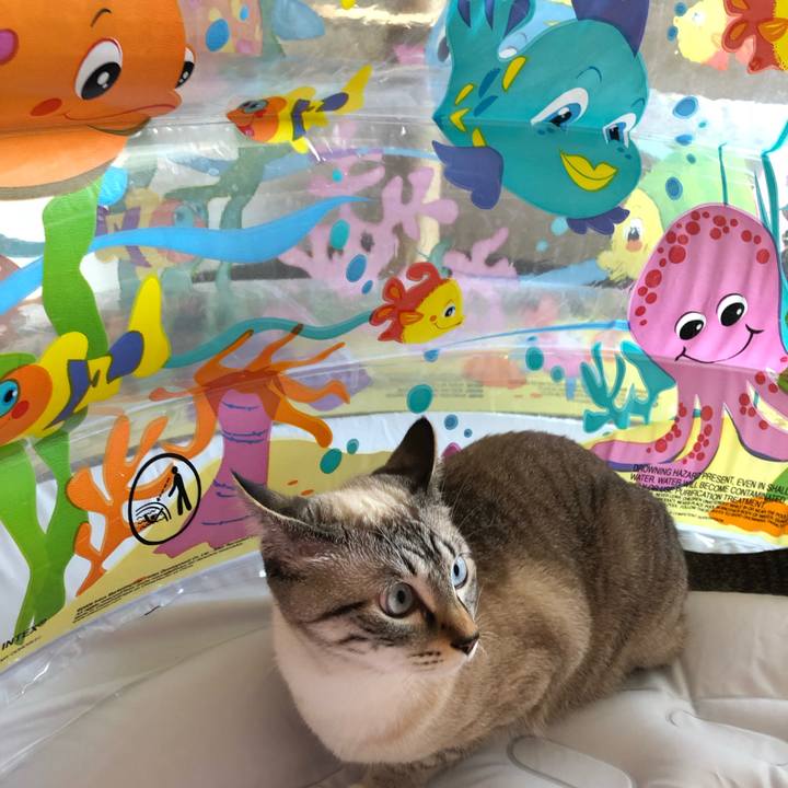 A634a7db 77ad 4be7 b56a 686401bc3872 1627821284673