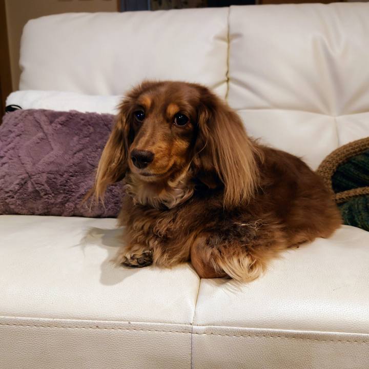 A634b3f3 a10b 453f 84c9 3077f1ba75d8 1671028120829