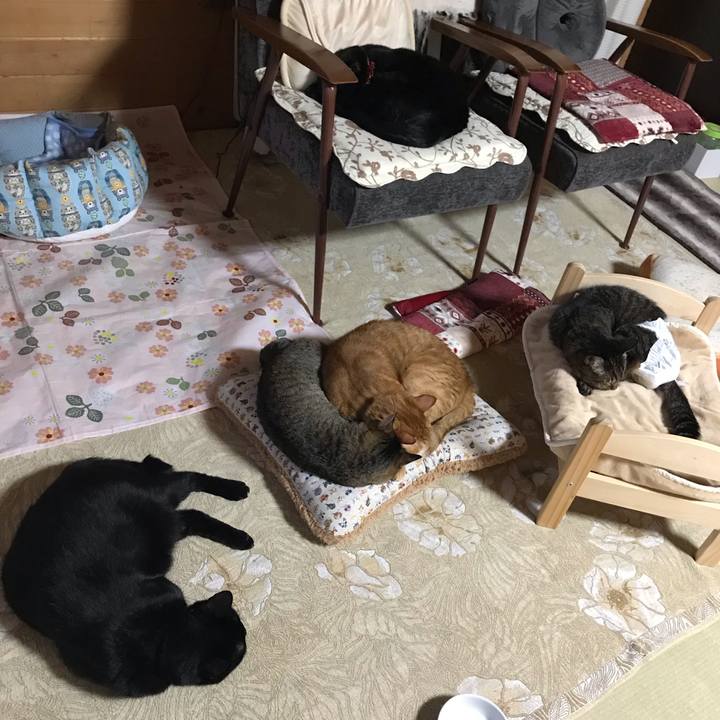 A634df49 073e 4752 9e15 621388fe2eea 1540813929062