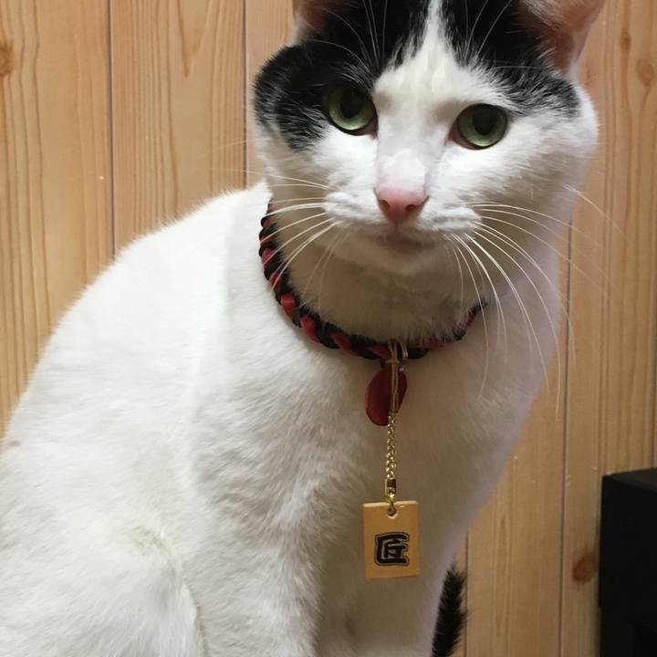 A6352756 1893 4ffd b038 41a258f88c3c 1509792276171