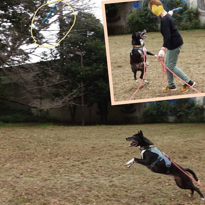 A6355cfb 243a 4945 88c0 cd1490f88b96 1729641770610