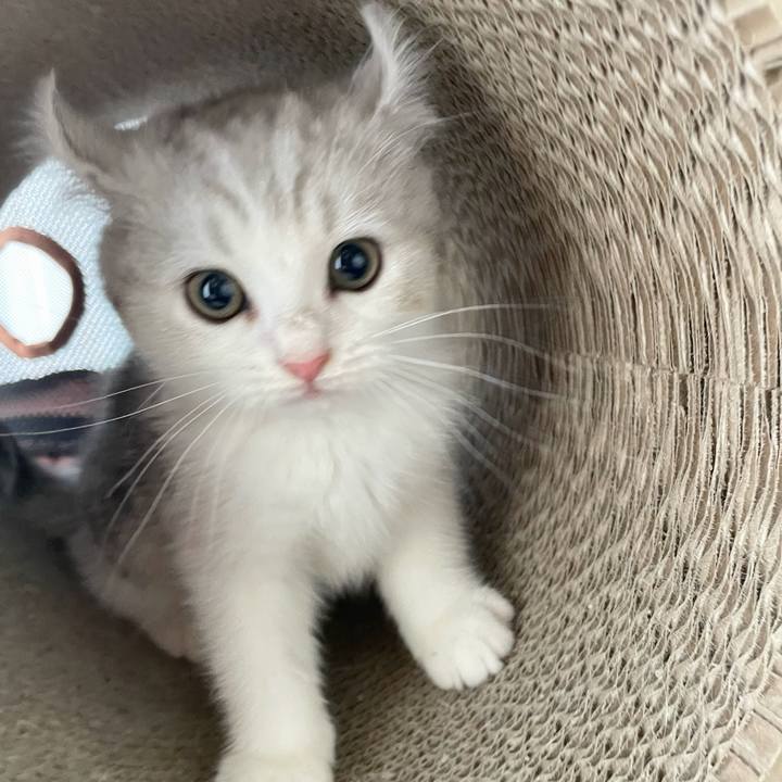 A63595a4 67f3 419e 9f1b 68c71e713e2f 1776551955028