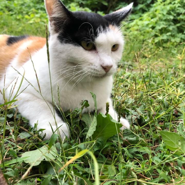 A635c344 2abd 4039 aecb 558a4d928665 1599646459127