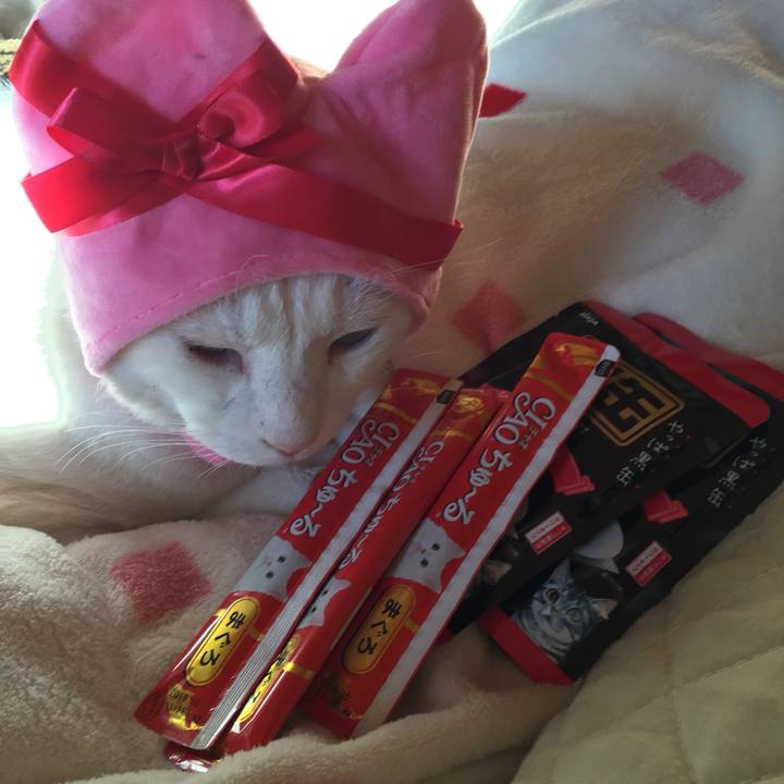 A6360c9d 6563 4da2 9b14 4302fe4358b1 1518562760964