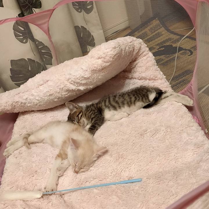 A6367275 c0db 47ef be50 84a402f07c0f 1692573649220